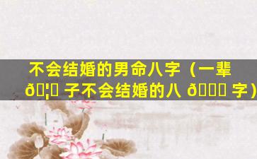 不会结婚的男命八字（一辈 🦆 子不会结婚的八 🐞 字）